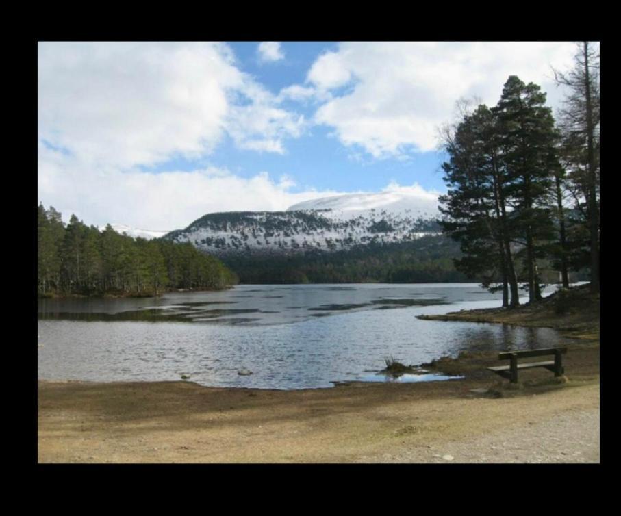 Coylumbridge Lodge, Aviemore, Highlands 외부 사진